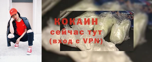 прущий лед Семёнов